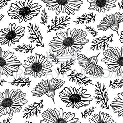CHAMOMILE Wild Flowers Seamless Pattern Vector Illustration