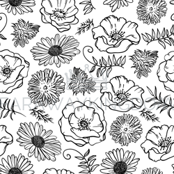 chamomile dandelion and poppy seamless pattern vector illustration