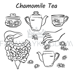 CHAMOMILE TEA Folk Medicine Health Kit Monochrome Vector Set