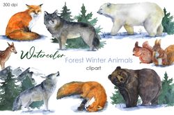 Watercolor forest animals clipart Cute clipart Forest png Watercolor forest animals clipart Cute clipart Forest planner