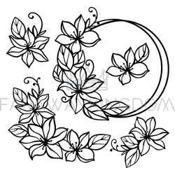 CLEMATIS LINE Art Wedding Compositions From Flowers For Print