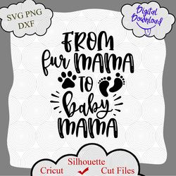 From Fur Mama To Baby Mama Svg Png JPG, Pregnancy Svg, Mom Life Svg, Dog Lover Svg, New Mom Svg, Cameo Cricut, Maternity
