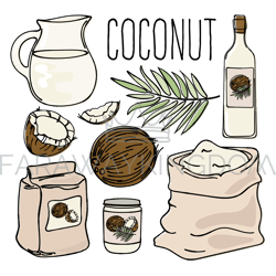 COCONUT Vegetarian Paleo Diet Natural Vector Illustration Set