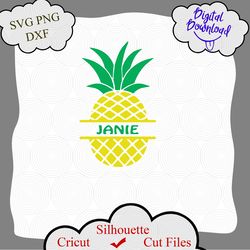 Pineapple SVG, Pineapple Bundle svg files, Pineapple PNG, Pineapple logo, Pineapple shirt design, Pineapple Monogram