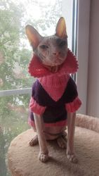 Cat clothes,cat sweater,sphynx clothes,sphynx sweater,sphynx