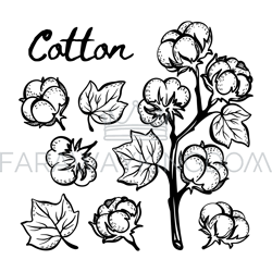 COTTON Monochrome Sketch Clip Art Vector Illustration Set