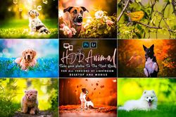 Animal HD Presets Lightroom Presets for Dogs-Pet Presets-Cat Preset Lightroom Dog Presets-Animal Lightroom-Pet Preset