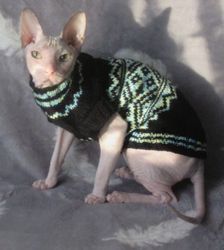 cat clothes, cat sweater, sphynx clothes, sphynx sweater, warm sphynx clothes, warm cat clothes, warm cat sweater