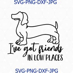 Dachshund Shirt svg, Funny Dog Saying, Dachshund Svg, Wiener dog Dog Svg, Country Music Shirt, Country Svg, cricut