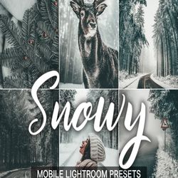 15 Mobile Presets SNOWY