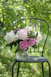 Flowers picture printable, digital photo of white and pink peonies, floral still life photo download, garden photography