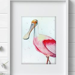 Roseate spoonbill watercolor bird painting birds on a branch original ibis art by Anne Gorywine