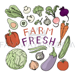 FARM FRESH Vegetable Healthy Menu Vector Illustration Set