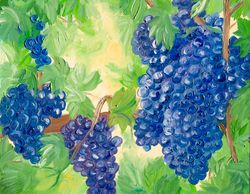 Vineyard grapes original oil painting winery wall decor impressionism garden fruit artwork wine wall art