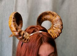 NATURAL TWISTED RAM HORNS