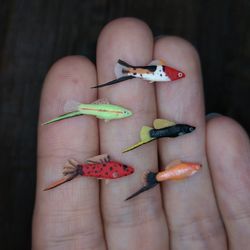 Miniature Swordtail fish 5 pcs, tiny fish for diorama, resin art or dollhouse aquarium
