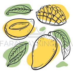 FRESH MANGO Delicious Fruit Hand Drawn Vector Illustration Set