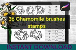 Chamomile Brushes Procreate Stamps