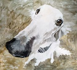 Borzoi Watercolor Original Square Painting Dog Art by Guldar