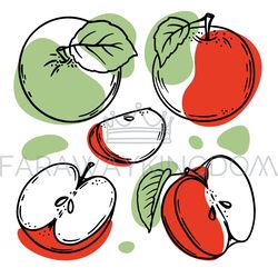 GREEN RED APPLE Delicious Fruit Sketch Vector Illustration Set