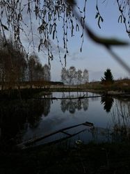 A digital photo of a serene Ukrainian countryside