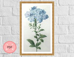 Flower Cross Stitch Pattern , Blue Plumbago , Pierre Joseph Redoute , Pdf Instant Download ,Floral Pattern,Full Coverage