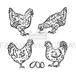 HEN CHICK SKETCHES And Eggs Monochrome Vector Illustration