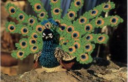 Digital | Amigurumi peacock | Knitted birds | Vintage knitting for children | Knitted toys | Instant download | PDF