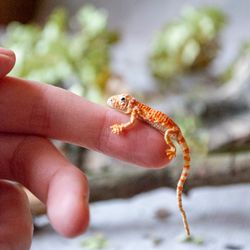 Micro mini reptile agama, Tiny handmade bearded dragon, Miniature crochet lizard pet, Reptile gift for herpetologist