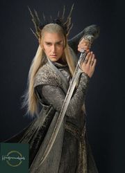 Custom Hand Forged Stainless Steel Lord Of The Ring Thranduil LOTR Mvie Sword Of Strider With Scabbard Costume Armor Chr