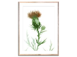 Thistle Painting Scottish Symbol Floral Watercolor Art Print Flower Wall Art Olive Green Wall Decor