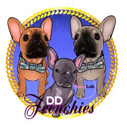 Pet Boutique Logo Custom Pet Logo Cartoon Logo Small Business Logo Pet Breeder Logo Pet Groomer Logo Dog Branding