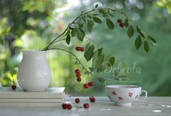 Still life photo of a cherry twig in a white vase. Summer garden photography. Digital printable card