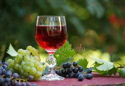 Fruit still life print, digital photo of red wine and grapes, colorful summer photography download, food photo printable