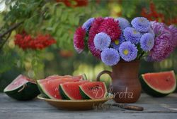 Flowers and fruit still life photography, colorful bouquet of asters and watermelon, downloadable food photo