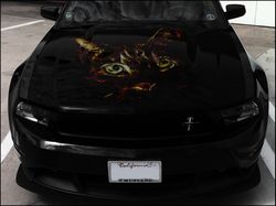 vinyl car hood wrap full color graphics decal cat sticker