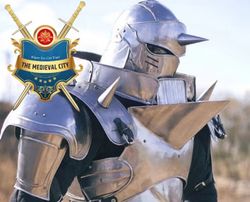Alphonse Elric Full Metal Alchemist Steel Armor, Alchemist Armor Costume, Battle Warrior Full Body Armor Best Gift