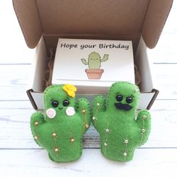 Cactus, Fake Plants, Pocket Hug In A Box, Plant Lover Gift, Funny Birthday Gift For Dad, Mom Gift From undefined Daughter, Puns