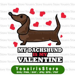 Cute and Funny Design - My Dachshund is my Valentine Svg, Dachshund Svg, Valentine Dachshund Mom