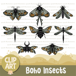 Boho Mystical Insect Bugs Clipart Set