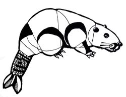 Beaver stylization black and white graphics, illustration