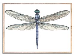 Dragonfly Art Print Beautiful Insect Wall Art Watercolor Painting Sky Blue Minimalist Dragonfly Poster Wall Decor