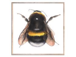 Bee Print Wall Art Bumblebee Watercolor Painting Honey Bee Watercolor Art Print Insect Poster Nature Wall Decor