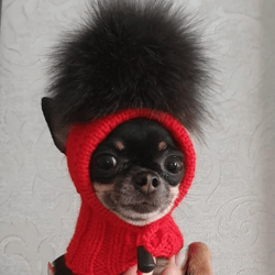 Cute dog hat for chihuahua or other small dogs with large pompom and holes for ears.