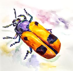 beetle, insect, watercolor, print, interior painting, poster, picture, painting