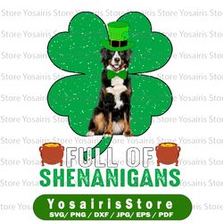 Leprechaun Cavalier King Charles Spaniel Dog PNG, St Patricks Day Png, Full Of Shenanigans Png, Happy St. Patrick's Day
