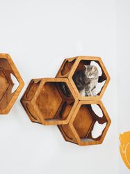 Cat Hexagon Shelves, Wall Mount Shelf With Cat Steps, Wood Wall Furniture For Cats, undefined Home Gifts, Kitten Owner Gift