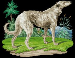 200120 Greyhound
