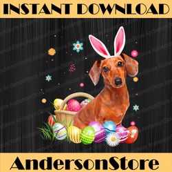 Happy Easter Cute Bunny Dachshund Wearing Bunny Ears Easter Day Png, Happy Easter Day Sublimation Design