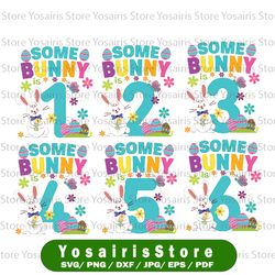 Some Bunny Is 3 Year Old Svg, Funny 3rd Birthday Easter Svg, Bunny First Birthday Svg 1st Birthday Easter Svg cricut